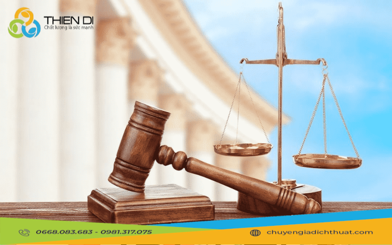 Dịch Thuật Pháp Lý Những Sai Lầm Đắt Giá Cần Tránh